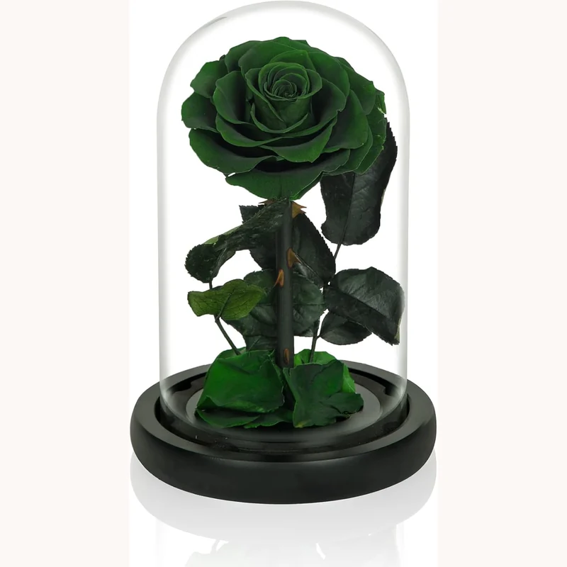 NATROSES Handmade Preserved Roses in Glass Dome