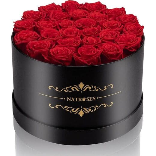 NATROSES Red 27 Piece Forever Preserved Roses